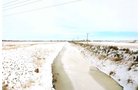 Property photo 5 - LAND AUCTION - 181.22+/- ACRE OFFERED IN 3 TRACTS IN JASPER CO., INDIANA
